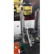 Машина за бедра задна част, Pannata sport, употребявана 